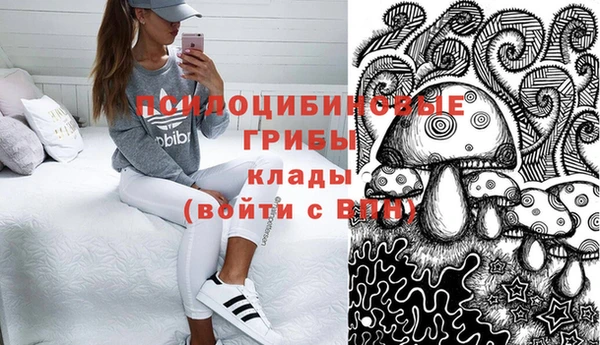 бошки Алзамай