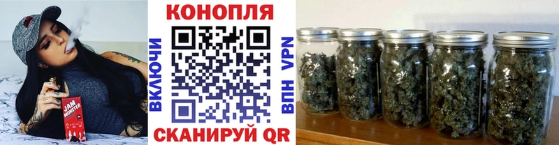 сколько стоит  площадка состав  Каннабис VHQ  Кудрово 