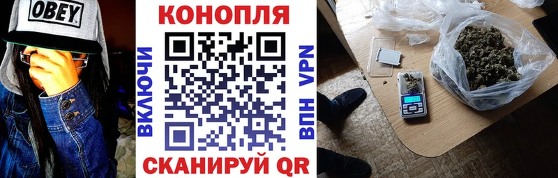 Бошки Шишки семена Кудрово